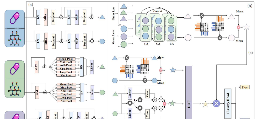 CDI-DTI framework figure