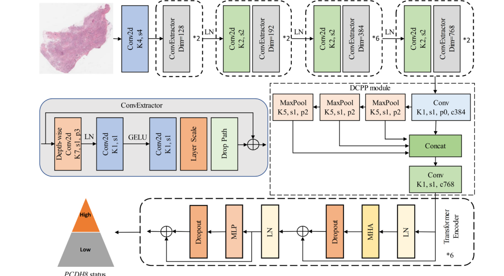 DSRNet model figure